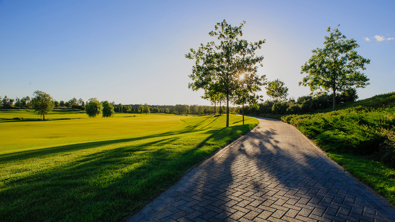 skolkovo golf club